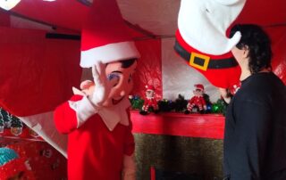 Elf on Shelf Festive Stall hire