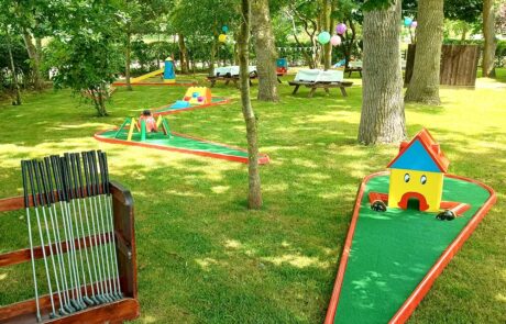 Garden Party with Crazy Golf