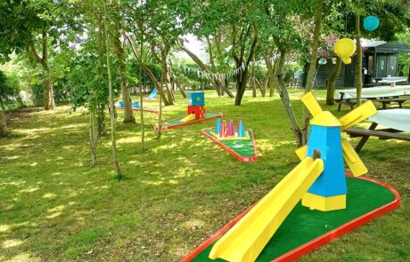 Garden Party with Crazy Golf