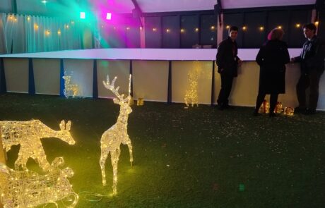 Winter Wonderland ice hire