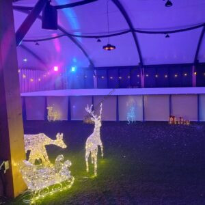 Winter Wonderland ice skating