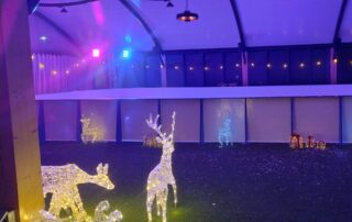 Winter Wonderland ice skating